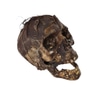 Faux Skull (Oswald)