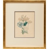 The Ladies Flower Garden Lithograph 3