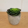 Mini Artificial Succulent