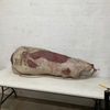Large Taxidermy Animal Hide