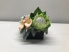SILK Tropical Coffee Table Arrangements