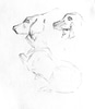 MISART-Maggie the Dog Sketch DF