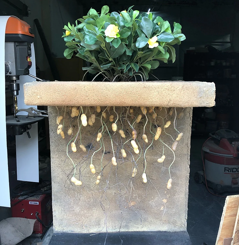 Fabricated Agricultural Plant Diorama