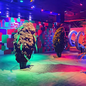 Giant Faux Cannabis Bud Installation at Event