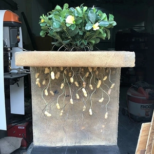 Custom Faux Peanut Plant