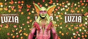 Rental Boxwood Hedge for Cirque du Soleil