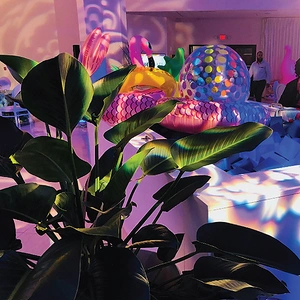 Rental Tropical Plants for Events