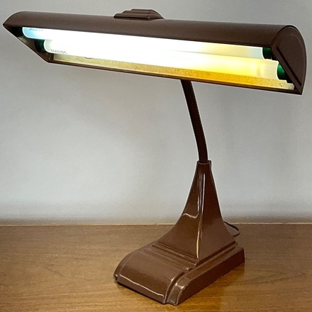 main photo of Gooseneck Fluorscent Desk Lamp