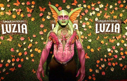 Custom Fabricated Floral Walls