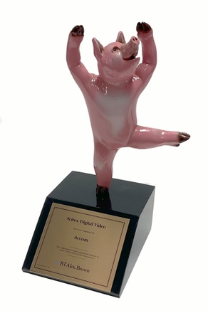 dancing pig toy