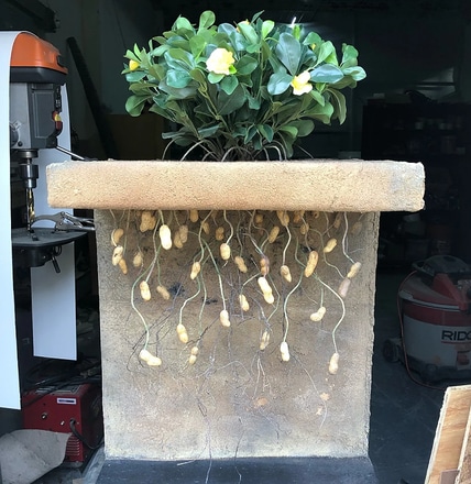 Fabricated Agricultural Plant Diorama