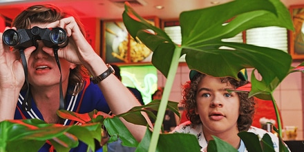 Tropical Botanical Mall Set