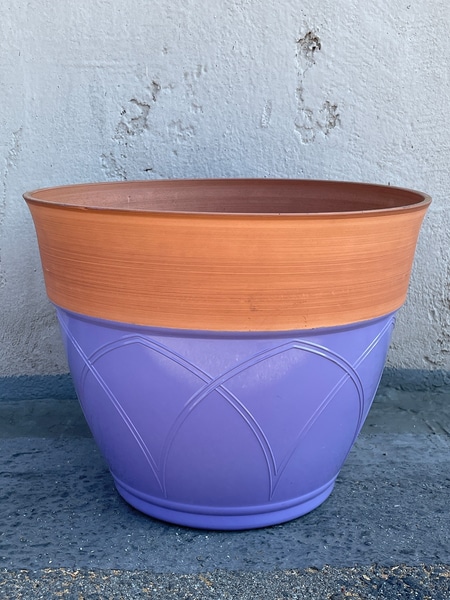 main photo of Purple Flowerpot