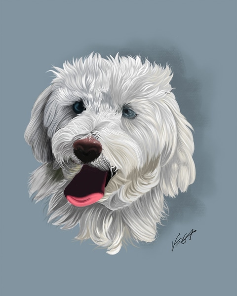 main photo of Dog Portrait