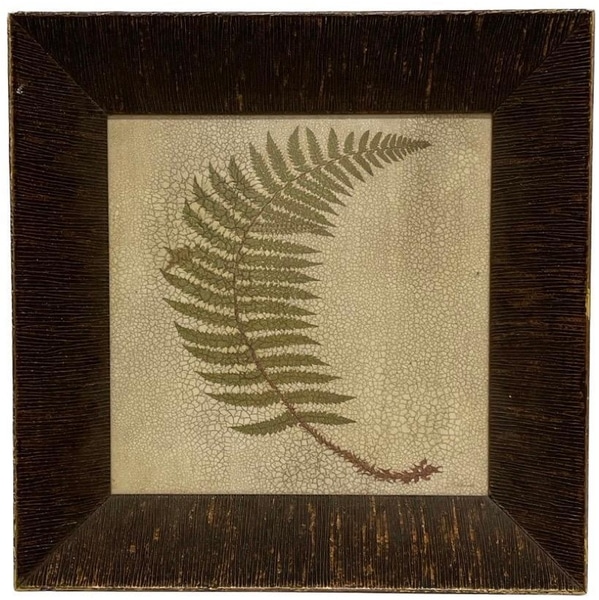 Botanical Cleared Art main photo of Botanical Cleared Art