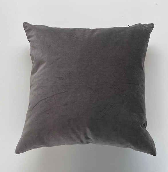 main photo of Gray Throw Pillow