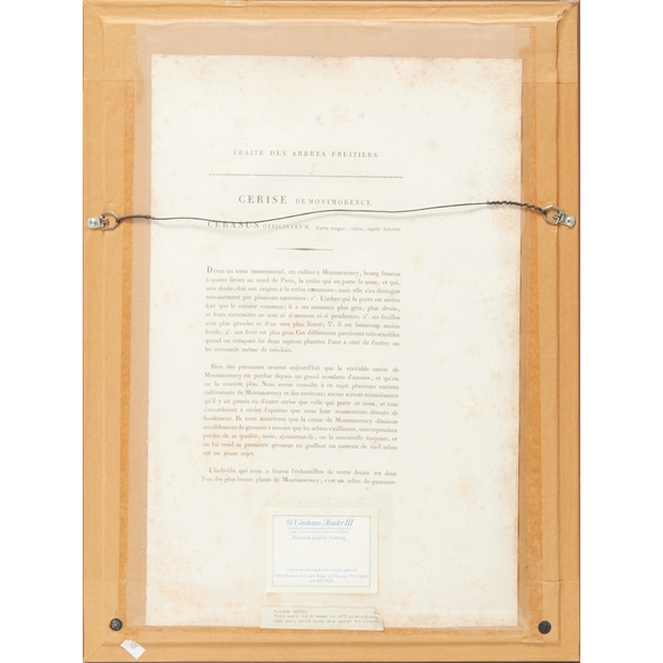 item photo 1