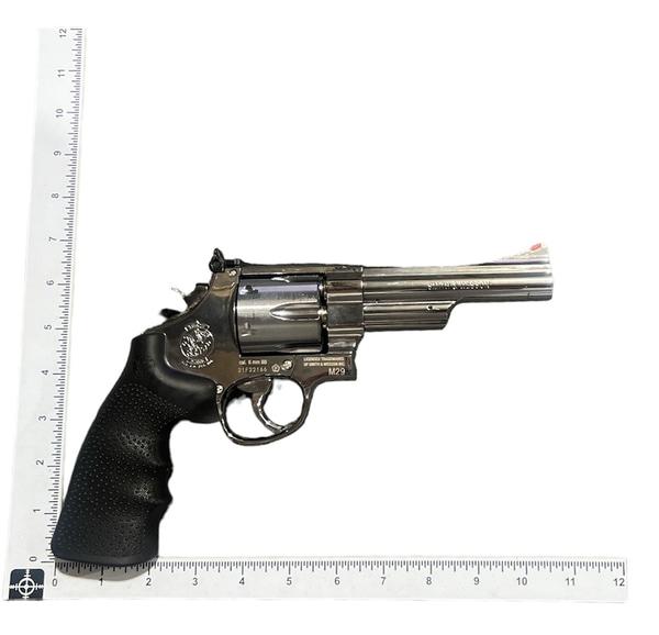main photo of Smith & Wesson Model 29 5"