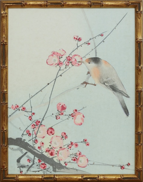 main photo of Cherry Blossoms with Bird