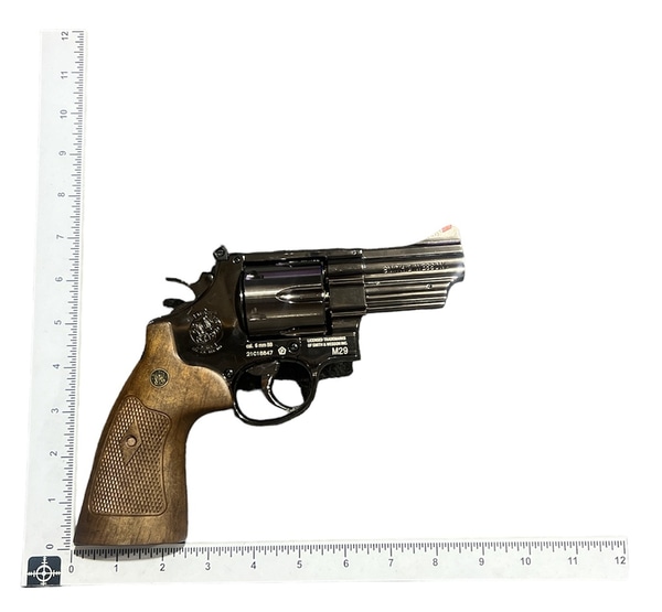main photo of Smith & Wesson Model 29 3"