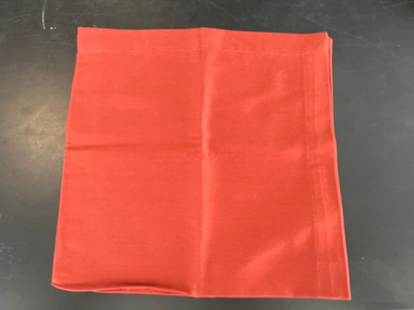 main photo of Shiny Fabric