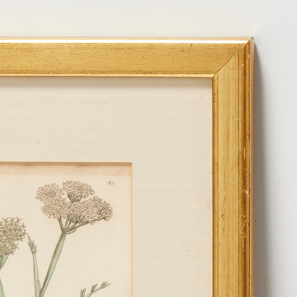 item photo 0