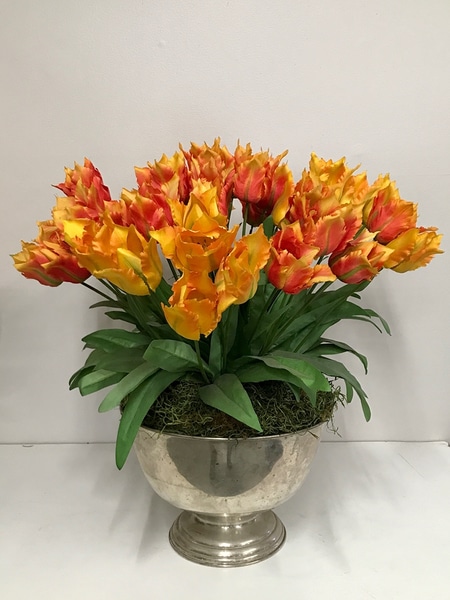 main photo of Orange Parrot Tulips in Silver Bowl