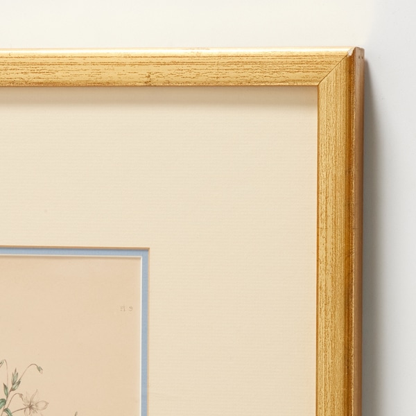 item photo 0