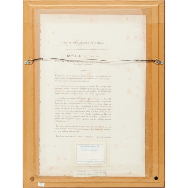 item photo 1