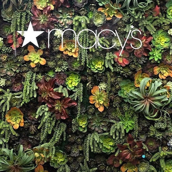 Natural Decor