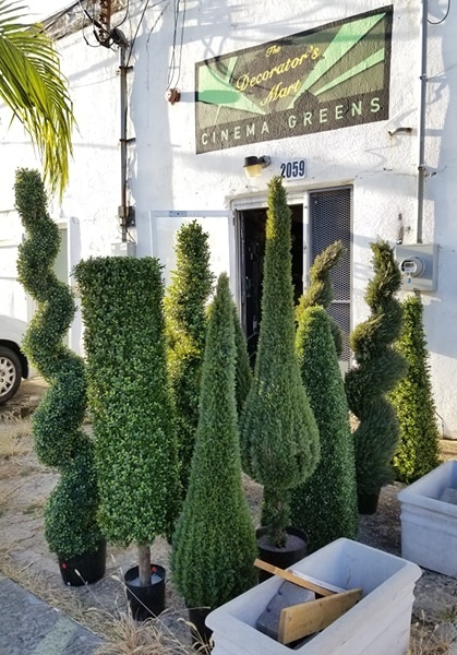 Boxwood Topiaries