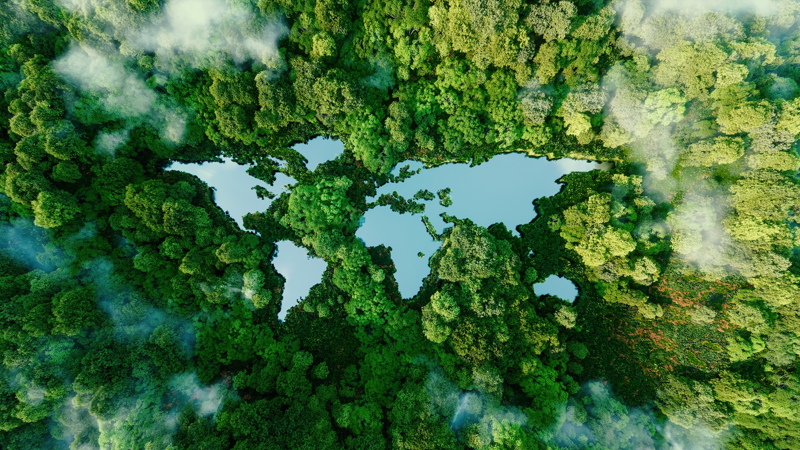 Global map embedded in rainforest