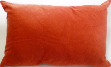 main photo of Pillow, Cotton Coral Velour