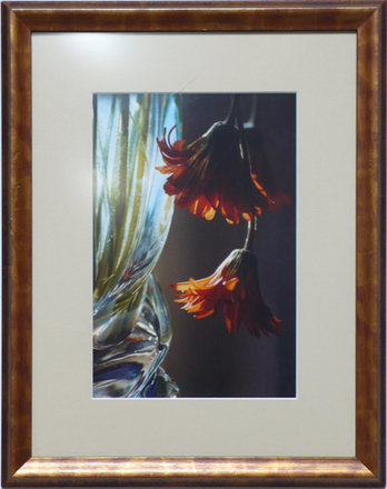 main photo of Cleared Color Photo; Two Flowers Hanging