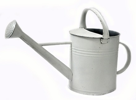 main photo of Watering can