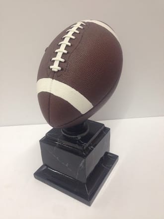 main photo of Full Size Brown and White Football