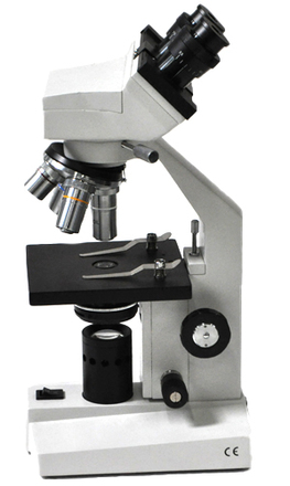 main photo of Microscope