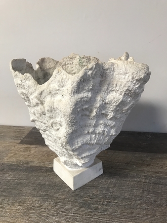 main photo of White Coral on Stand
