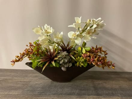 main photo of Orchid and Succulent Oval Arrangement