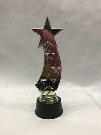 main photo of Star Trophy