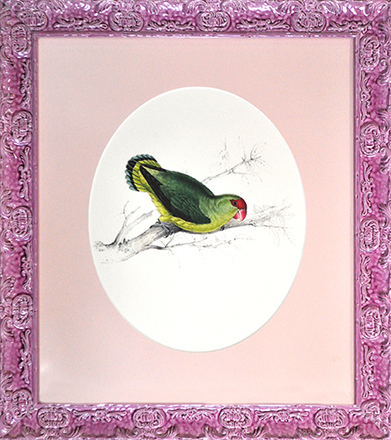 main photo of Cleared Print, Green Bird (Parakeet) with Red Beak