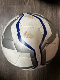 main photo of Soccer Ball #5 White with Blue & Silver Graphics