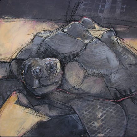 main photo of Tortoise Painting
