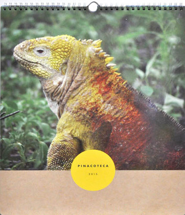 main photo of Unframed Cleared Poster; 2015 Calendar, Iguana