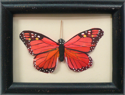 main photo of Cleared Collage,, Orange Butterfly with Black