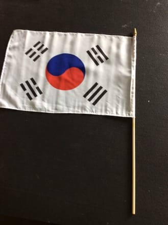 main photo of south korea Flag