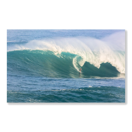 main photo of Waimea Bay Super Swell