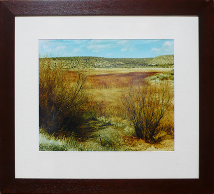 main photo of Cleared Color Photo; Brush & Desert
