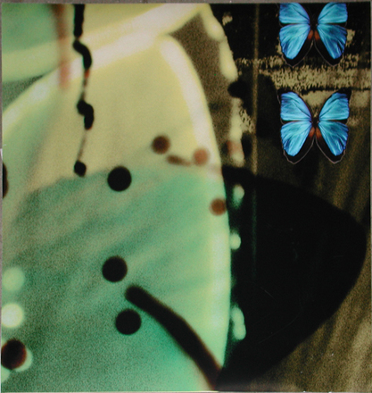 main photo of Unframed Cleared Poster; Abstract, Leaves and Butterflies