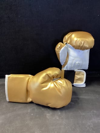 main photo of 12 Oz Boxing Gloves
